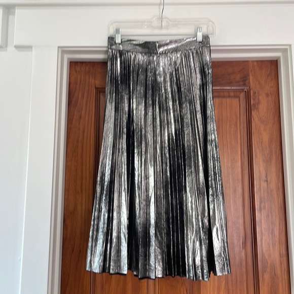 Zara Pleated Skirt - Picture 1 of 4